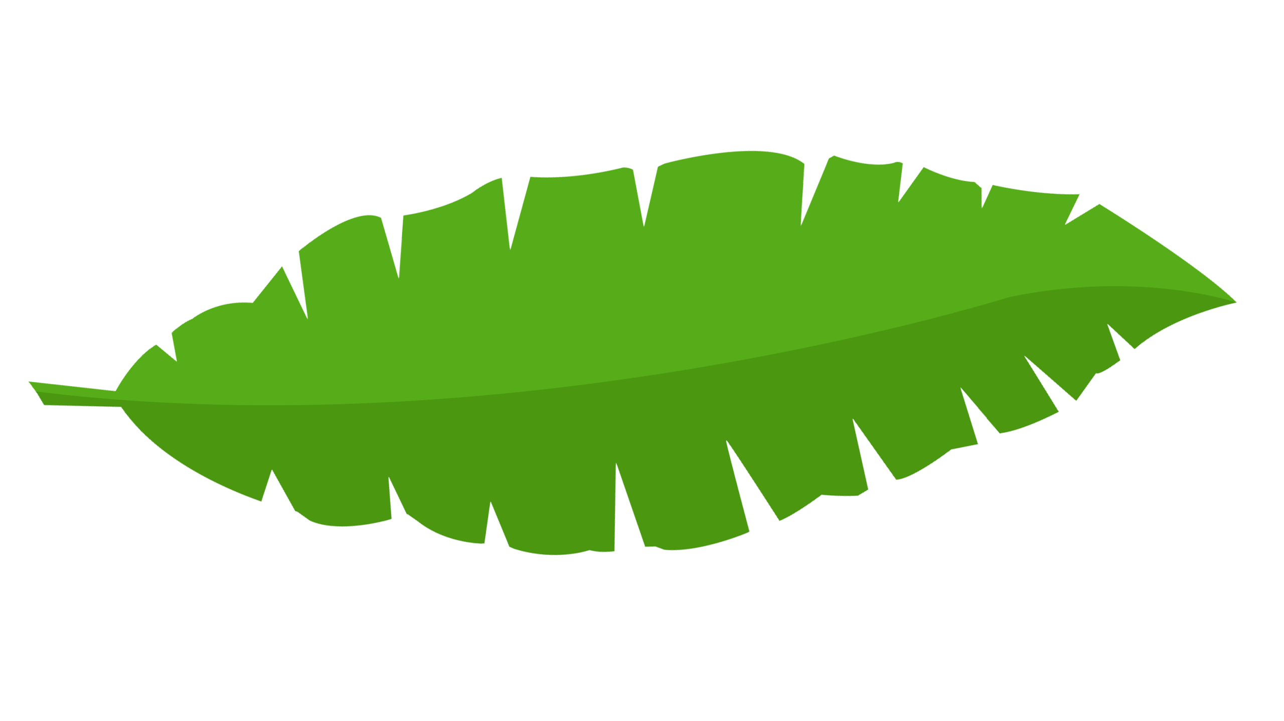 leaf